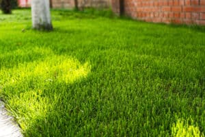 contact us maple leaf landscaping seasonal lawn care