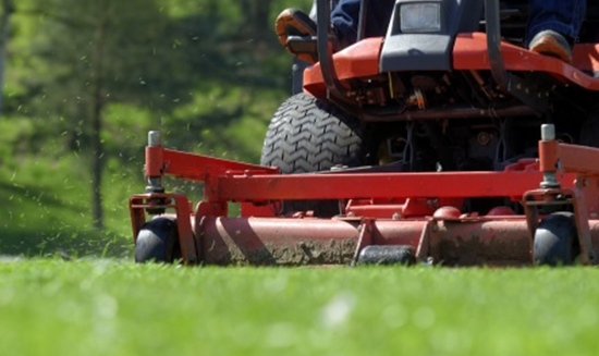 grand junction landscaping services