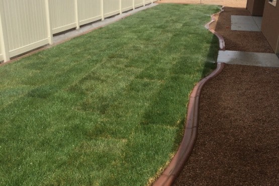 Seasonal Lawn care