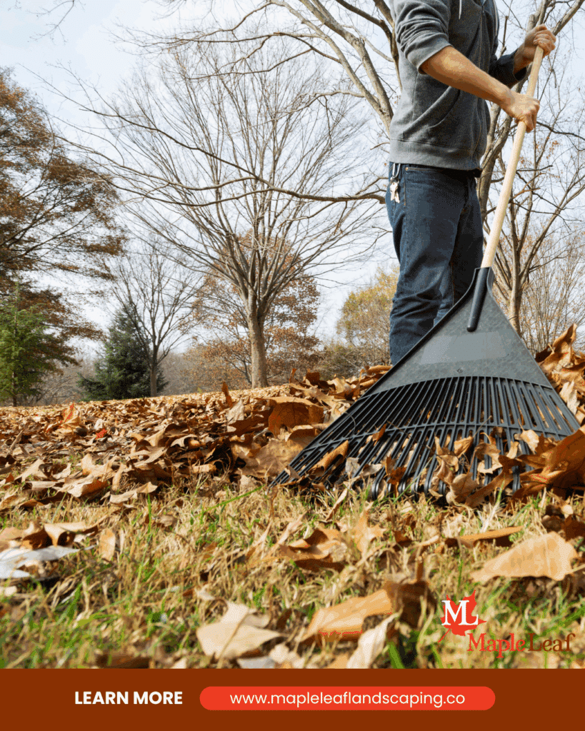 To rake or not to rake; picture of a person raking leaves